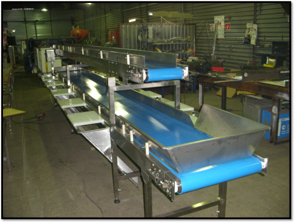 Конвейер для переработки овощей